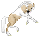 OS Spirit of the West, adorable dappled palomino paint made by Alex