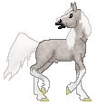 OS Standing Ovation, cute rose grey arabian stallion made by Alex