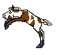 RR Little Pumpkin, sweet paint colored filly out of draft Little Suzie by Paint horse Eclaire