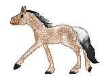 7CS Pointed Baby, cute appaloosa mare made by Amber