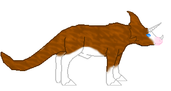 LS Brianon, bay brindle sabino ceritop male