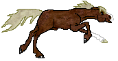 DHR Sir Balrock, beauty pure arabian stallion, flaxen chestnut our of Bassire by Sir Lancelot