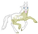 DHR Roses Sunshine, pintaloosa stallion out of Sunlit Roses by Wyld Flight