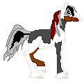 Cobblestone�s Tarkan - tricolored stallion out of Star by Totoro, for breeding