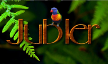Jubler