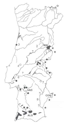 map2a.jpg (39991 bytes)
