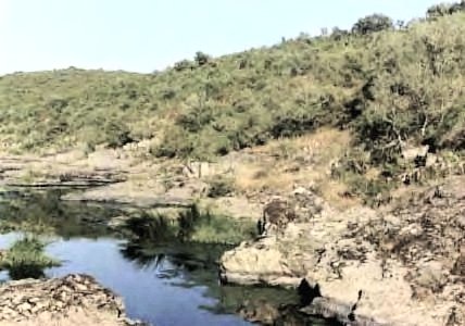 sado.jpg (35778 bytes)