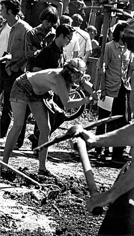 Gardening in the park