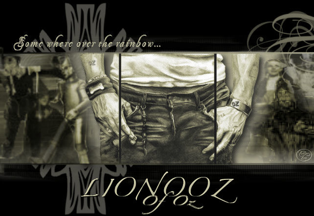 lionooz