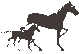 horses