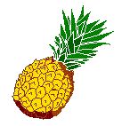 pineapple