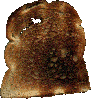 toast