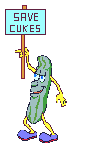 cucumber