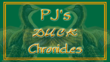 PJ's Duck Chronicles