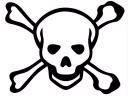 Skull and Crossbones, the sign of a true Pirate ship.
