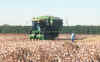 2picker.jpg (80781 bytes)