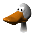 duck loves you too