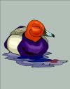 duck