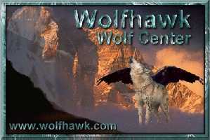visit WolfHawks page