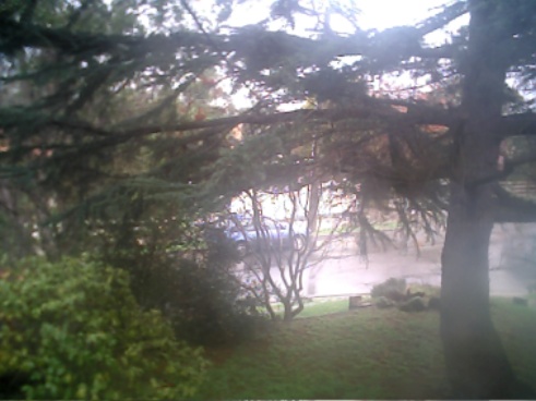 Prettiness.