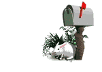 e=mail bill goldie