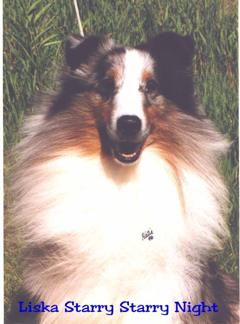 Storm - now retired.