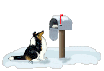 e-mail me