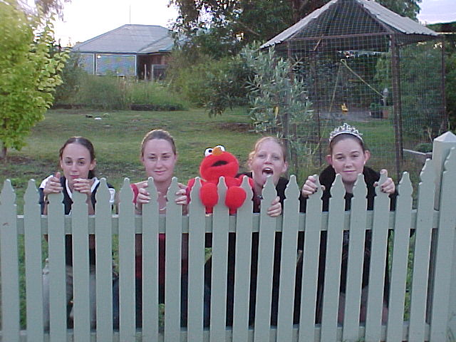 Dad' s picket fence!