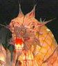 lantern parade