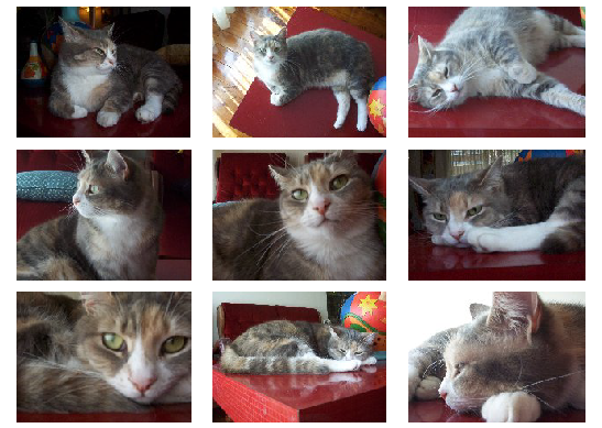 My meow