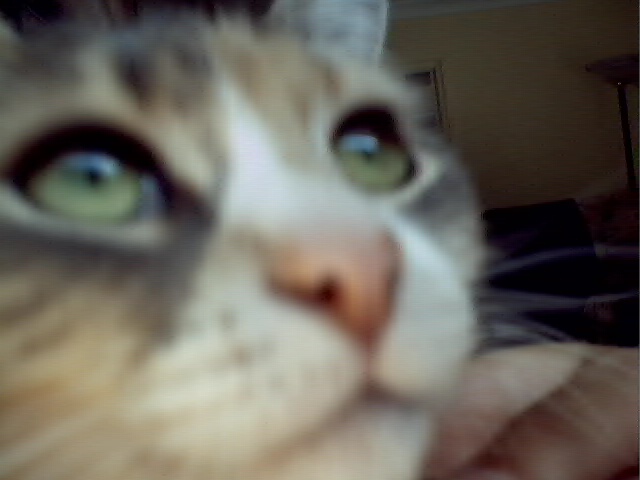 Contemplating an attack