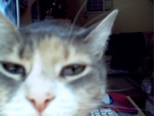 ATTACK!!!!!