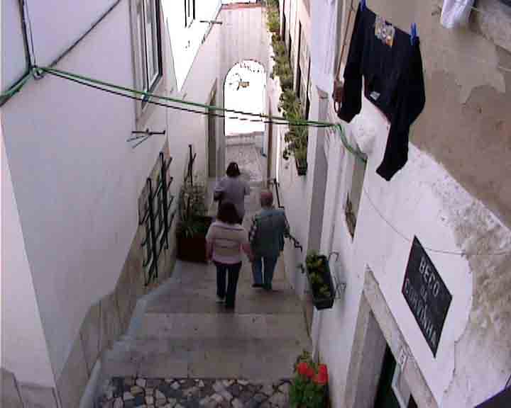Les plus r�put�s mus�es, palais, �glises, plages et c�te de Lisbonne. Los m�s afamados palacios, iglesias, museos y playas. Tambi�n con Queluz y Mafra Cascais e Estoril.