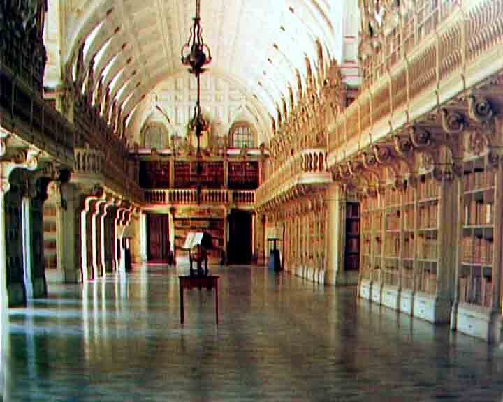 There is the biggest library in Portugal, in Mafra palace.
