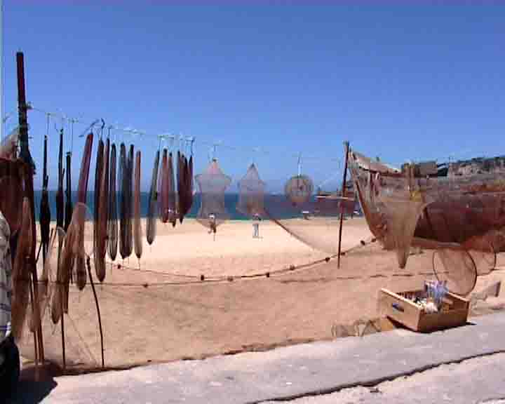 Fatima tours - The nets were placed several kilometres away from the beach and tractors or oxen pulled them in an endless going and returning. When the net arrived, all gathered to see the fishery, sometimes weighing 2 tons.