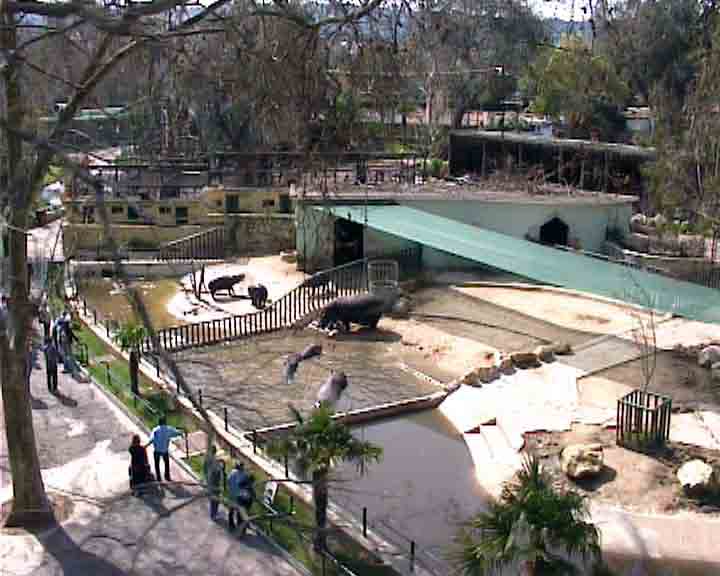 There's a great view while we ride the cable car in the zoo of Lisbon.
