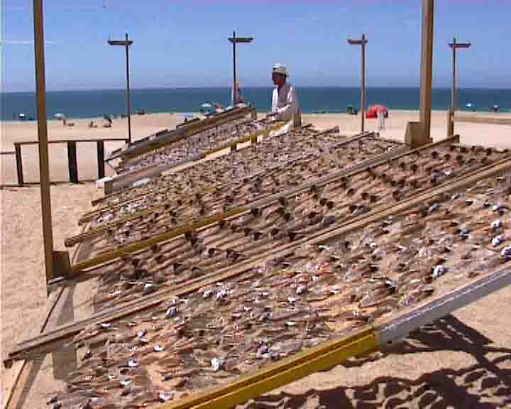 Fatima tour - The fish is dried to supply food in the most rigorous months.