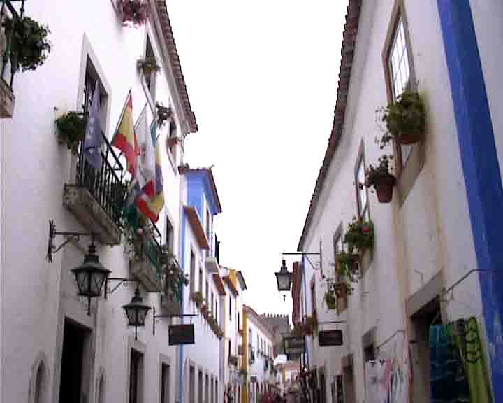 Fatima tours - The houses in Obidos are also painted blue, red and yellow (the colors of the town; they say that these colors, the blue and yellow, scares bad spirits away) its balconies with flowers (geraniums, bougainvilleas, arums; the town already won several competitions of flowers), its manueline doors.