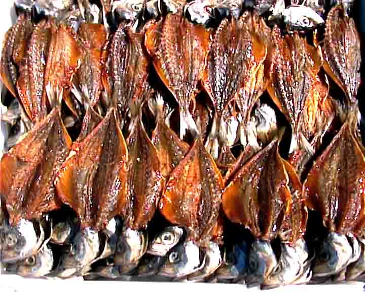 Fatima tours - Nazar� is the richest beach in fish of all the Portuguese coast.