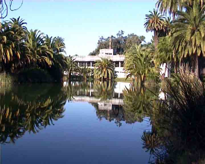 Portugal pictures - Lisbon has many parks with ponds