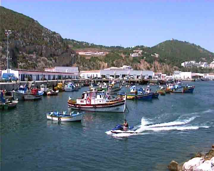 Lisbon excursions - Sesimbra fishing harbour where they fish sword-fish.