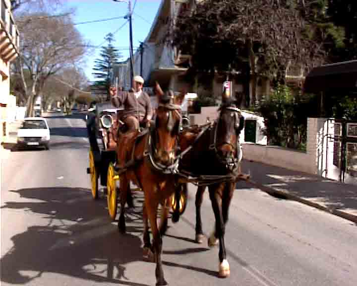We have the best deluxe escorted tours for private groups with all travel agencies in Portugal.