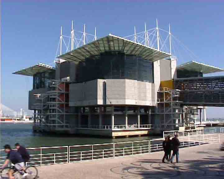 Portugal pictures - the oceanarium of Lisbon is one of the biggest in the world
