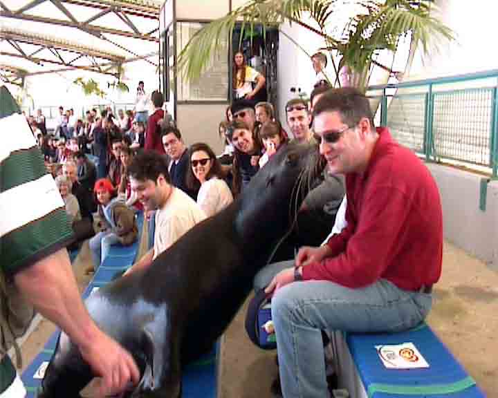 Portugal pictures - In the Zoo of Lisbon you can see how Portuguese people are found of animals