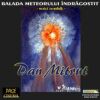 Dan Mitrut