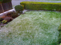 ice