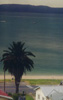 Maraetai Summer