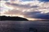 wedding a5 thumbnail