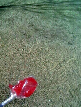 Oooh, dead grass...