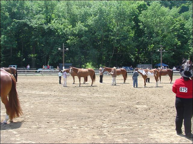DSC04605